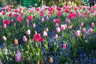 Tử vi thứ 4 ngày 3/4/2024 của 12 cung hoàng đạo: Sư Tử cố chấp, Cự Giải hào phóng