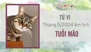 Tử vi tháng 5/2024 tuổi Mão âm lịch: Tự lo cho mình, chẳng cậy nhờ vào ai