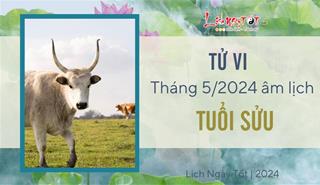 Tử vi tháng 5/2024 tuổi Sửu âm lịch: Sức khỏe đi xuống, làm không thấy dư