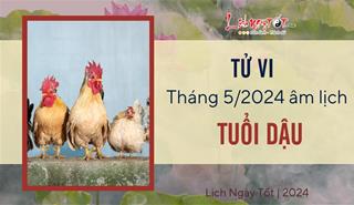 Tử vi tháng 5/2024 tuổi Dậu âm lịch: Đếm TIỀN mỏi tay, làm ăn ngon lành