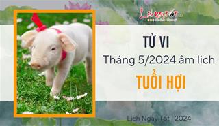 Tử vi tháng 5/2024 tuổi Hợi âm lịch: Có TIỀN nhưng không vui nổi!