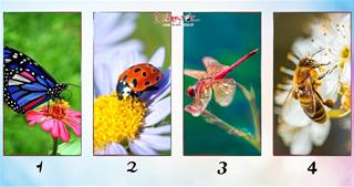 Bạn chọn con vật nào? Bật mí về vận MAY của bạn trong tháng tới!