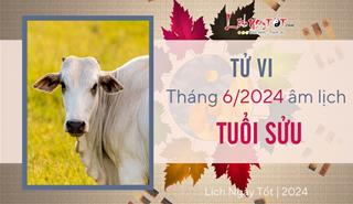 Tử vi tháng 6/2024 tuổi Sửu âm lịch: Công sức như muối bỏ biển, nhiều hao tổn bất ngờ