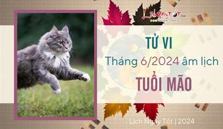 Tử vi tháng 6/2024 tuổi Mão âm lịch: Vận khí lên cao, đón hàng loạt tin tức tích cực