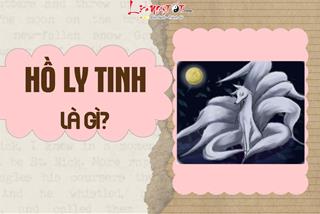 Hồ ly tinh là gì? Chúng có thực hay không và liệu có đáng sợ như lời đồn?