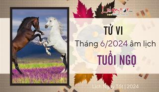 Tử vi tháng 6/2024 tuổi Ngọ âm lịch: Vận khí vụt sáng, chứng tỏ được bản lĩnh