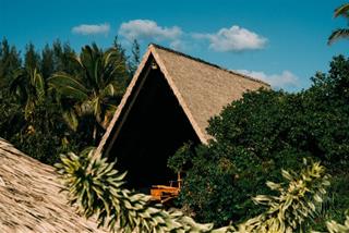 Tử vi thứ 6 ngày 31/5/2024 của 12 con giáp: Ngọ thăng tiến, Dậu gặp tiểu nhân