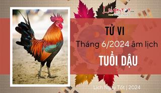 Tử vi tháng 6/2024 tuổi Dậu âm lịch: Vận khí biến hóa khó lường, hung cát cùng tồn tại