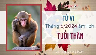 Tử vi tháng 6/2024 tuổi Thân âm lịch: Nhiều dấu hiệu tích cực, đạt thành tích vẻ vang