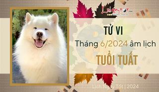 Tử vi tháng 6/2024 tuổi Tuất âm lịch: Vấp váp nhiều trở ngại, tiểu nhân phá hoại