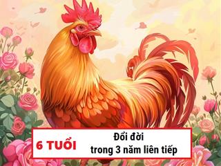 Liên tiếp 3 năm (2025-2027), khổ tận cam lai cuối cùng cũng đụng trúng MỎ VÀNG, 3 con giáp (6 mức tuổi) này nhất định ĐỔI ĐỜI!