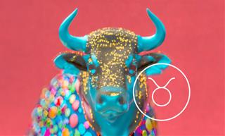 Sao Hỏa đi vào Kim Ngưu - 12 cung hoàng đạo nên làm gì tiếp theo?