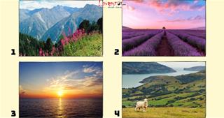 Khung cảnh nào khiến bạn thoải mái? Tiết lộ loại NĂNG LƯỢNG bạn cần nhất vào lúc này?