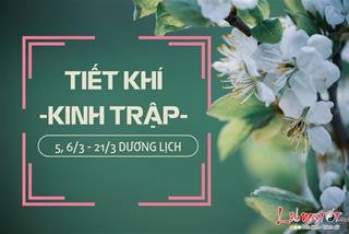 Tiết Kinh Trập là gì - Tiết khí này rơi vào thời điểm nào tương ứng trong năm?