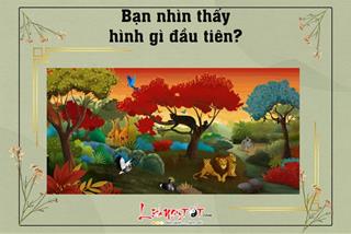 Trắc nghiệm: Con thú bạn chọn tiết lộ bạn gặp vấn đề tiền bạc hay mối quan hệ ngay lúc này?