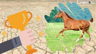 Như nắng hạn gặp mưa rào trong tháng 5 âm, 3 con giáp TĂNG LƯƠNG THĂNG CHỨC rầm rộ