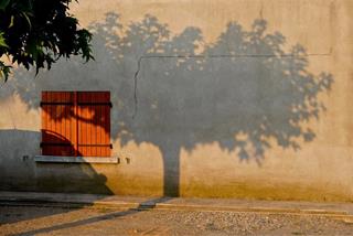 Tử vi Chủ Nhật ngày 9/6/2024 của 12 cung hoàng đạo: Sư Tử khôn khéo, Bạch Dương cởi mở