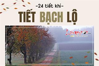 Tiết Bạch Lộ là gì? Cần chú ý những điều gì để luôn mạnh khỏe và gặt may đón tài?