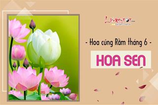 4 loài hoa thơm “hợp ý” Tổ tiên Rằm tháng 6, cầu AN hay cầu TÀI đều thuận