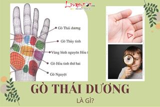 Gò Thái Dương là gì? Có phải luôn may mắn khi sở hữu gò này trong lòng bàn tay?