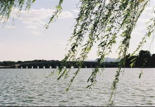 Tử vi tuần mới của 12 con giáp từ 5 - 11/8/2024: Mão gặp sự cố, Dậu bình ổn