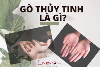 Đường chỉ tay trên gò Thủy Tinh tiết tộ tính cách, tài năng