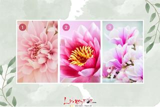 Trắc nghiệm liệu bạn có thường xuyên mua sắm bốc đồng hay tính toán kỹ càng?