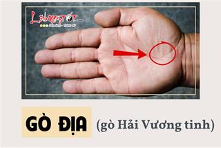 Gò Địa - Gò Hải vương tinh trong lòng bàn tay là gì? Báo hiệu điều thú vị nào về cuộc đời?