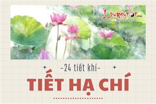Tiết Hạ Chí là gì? Ngày nào là ngày Hạ Chí trong năm? Cần đặc biệt chú ý điều gì?