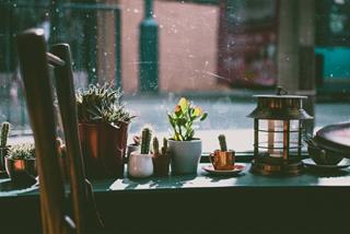 Tử vi thứ 4 ngày 21/8/2024 của 12 con giáp: Dần đề phòng, Ngọ tự tin