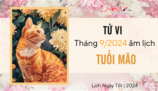 Tử vi tháng 9/2024 tuổi Mão âm lịch: Tăng trưởng rộn ràng, quý nhân phù trợ
