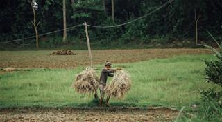 Tử vi Chủ Nhật ngày 25/8/2024 của 12 cung hoàng đạo: Bảo Bình hài hước