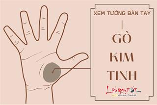 Xem tướng tay: Các đường chỉ trên gò Kim Tinh tiết lộ điều gì trong cuộc đời bạn?