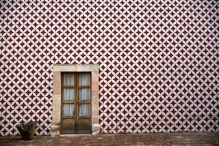 Tử vi Chủ Nhật ngày 1/9/2024 của 12 cung hoàng đạo: Kim Ngưu lạc quan