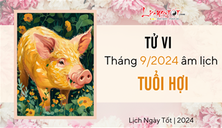 Tử vi tháng 9/2024 tuổi Hợi âm lịch: Vận khí được nâng đỡ, bớt phần vất vả