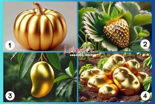 Trắc nghiệm tâm lý: Tháng 8/2024 âm lịch, những điều ĐẶC BIỆT gì sẽ đến với bạn?