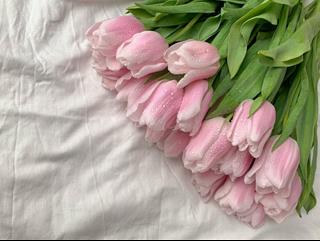 Tử vi thứ 4 ngày 7/8/2024 của 12 cung hoàng đạo: Cự Giải phiền lòng, Song Ngư bối rối