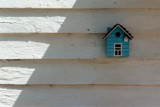 Tử vi thứ 6 ngày 9/8/2024 của 12 cung hoàng đạo: Hổ Cáp cả tin, Kim Ngưu tức giận