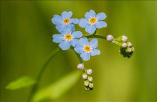 Tử vi thứ 2 ngày 19/8/2024 của 12 con giáp: Sửu có lộc, Hợi hạnh phúc