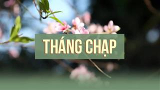 Điều nên và không nên làm cuối tháng Chạp, nhất định phải lưu tâm để may mắn ngập tràn