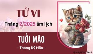Tử vi tháng 2/2025 tuổi Mão âm lịch: Nghĩ nhiều khổ nhiều