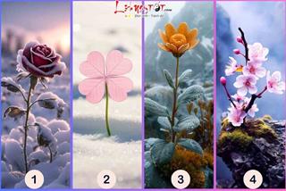 Trắc nghiệm tâm lý: Nửa cuối tháng 1/2025 dương lịch, ví tiền của bạn ĐẦY hay VƠI?