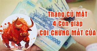 Tháng Củ Mật 2024, nhắc nhẹ 4 tuổi sau coi chừng MẤT TIỀN, của đi thay người