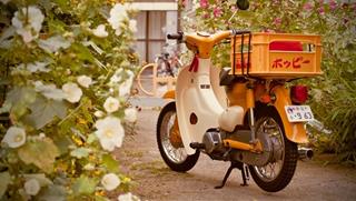 Tử vi thứ 4 ngày 8/1/2025 của 12 con giáp: Sửu may mắn, Mùi lắm lộc