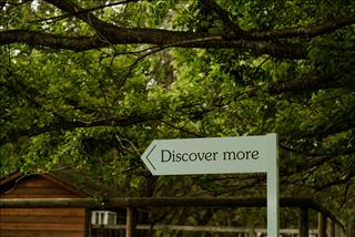 Tử vi tuần mới của 12 con giáp (6 - 12/10/2025): Sửu uể oải, Dậu cần linh hoạt