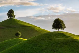 Tử vi thứ 4 ngày 22/10/2025 của 12 con giáp: Thìn suôn sẻ, Tý rực rỡ