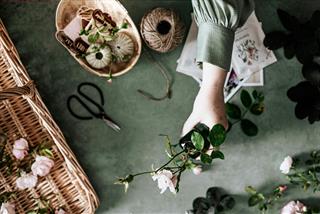 Tử vi thứ 3 ngày 21/10/2025 của 12 con giáp: Mùng 1 đầu tháng - Ai được ban PHƯỚC?