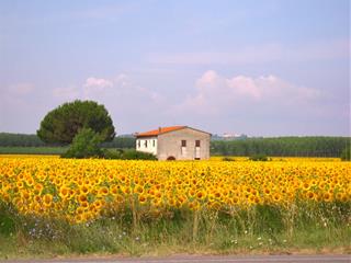 Tử vi thứ 7 ngày 4/10/2025 của 12 cung hoàng đạo: Ma Kết cáu kỉnh, Cự Giải nhân ái