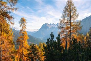 Tử vi thứ 4 ngày 29/10/2025 của 12 con giáp: Tị thông minh, Ngọ kiêu hãnh