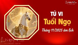 Tử vi tháng 11/2025 tuổi Ngọ âm lịch: Nhiều biến động, cát hung song hành